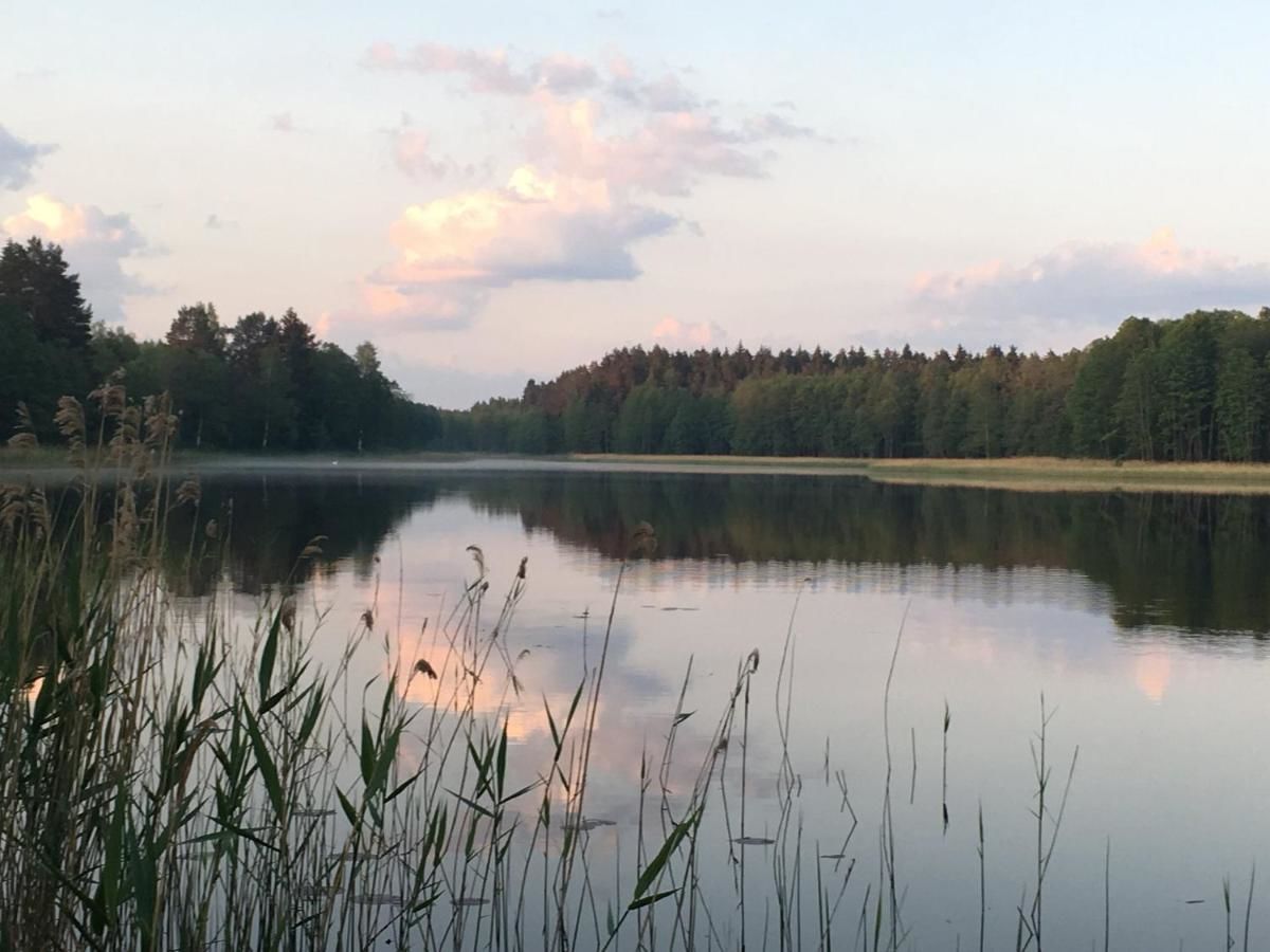 Дома для отпуска Forest Residence Spuņņi