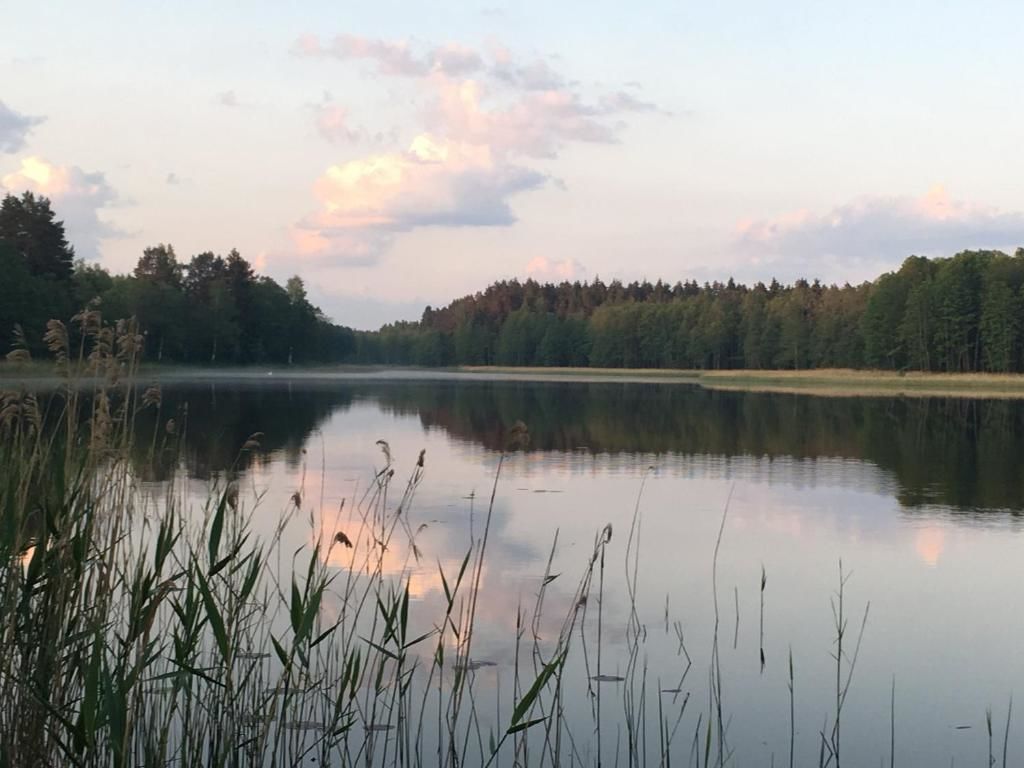 Дома для отпуска Forest Residence Spuņņi