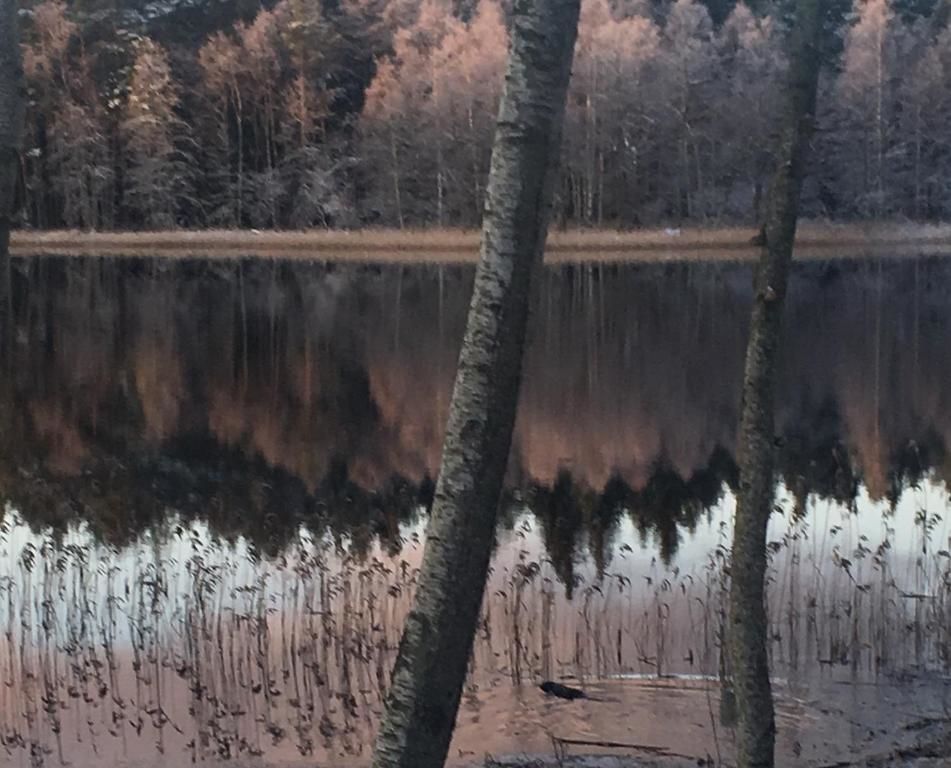 Дома для отпуска Forest Residence Spuņņi